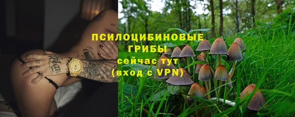 тгк Бугульма