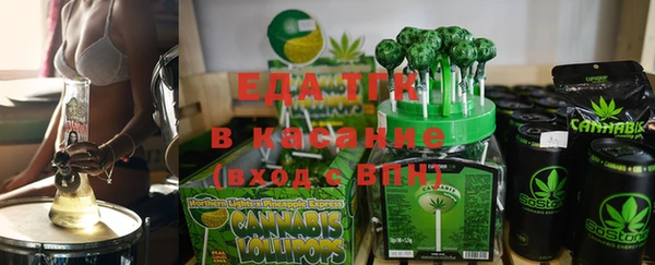 гидра Богородицк